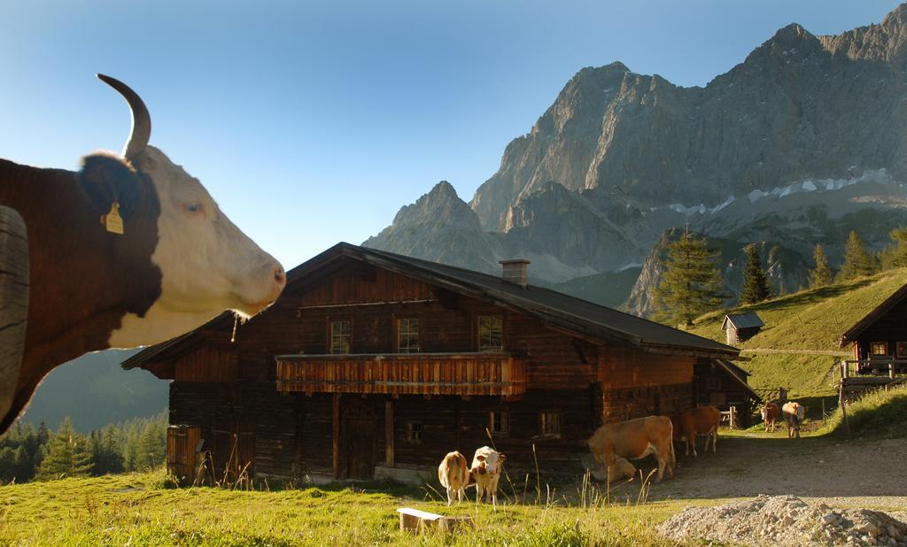 Апартаменты Haus Bergzauber Рамзау Экстерьер фото